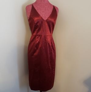 Velvet maroon dress